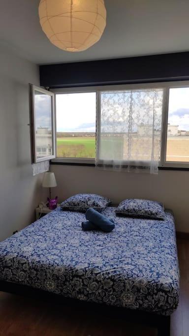 Charmant Appartement Proche Melun Centre Ville Zewnętrze zdjęcie